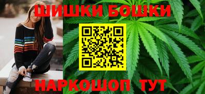 шишки Камышлов