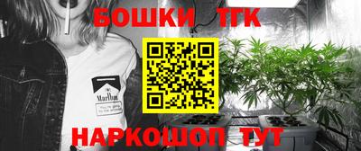 шишки Камышлов