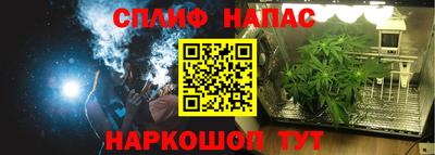 шишки Камышлов