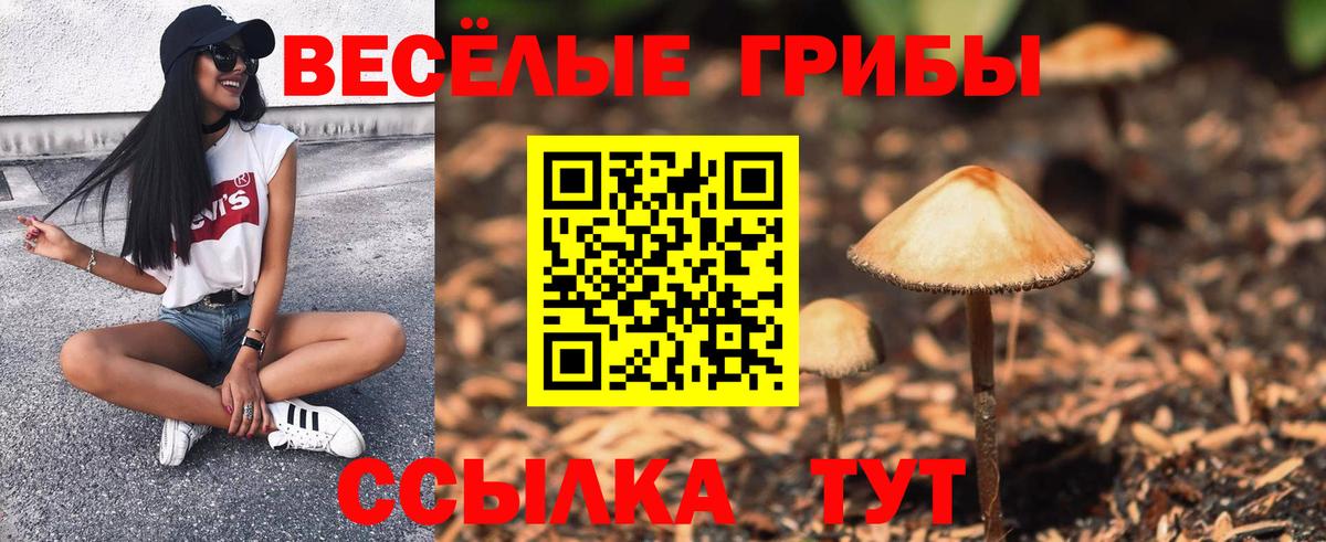 Мариинск  Галлюциногенные грибы MAGIC MUSHROOMS  Вход с VPN  Псилоцибиновые грибы Magic Shrooms 