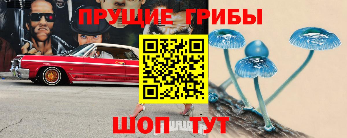 Галлюциногенные грибы GOLDEN TEACHER Мариинск